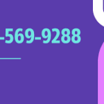 "646-569-9288"