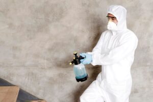 10 Warning Signs of Mold Toxicity