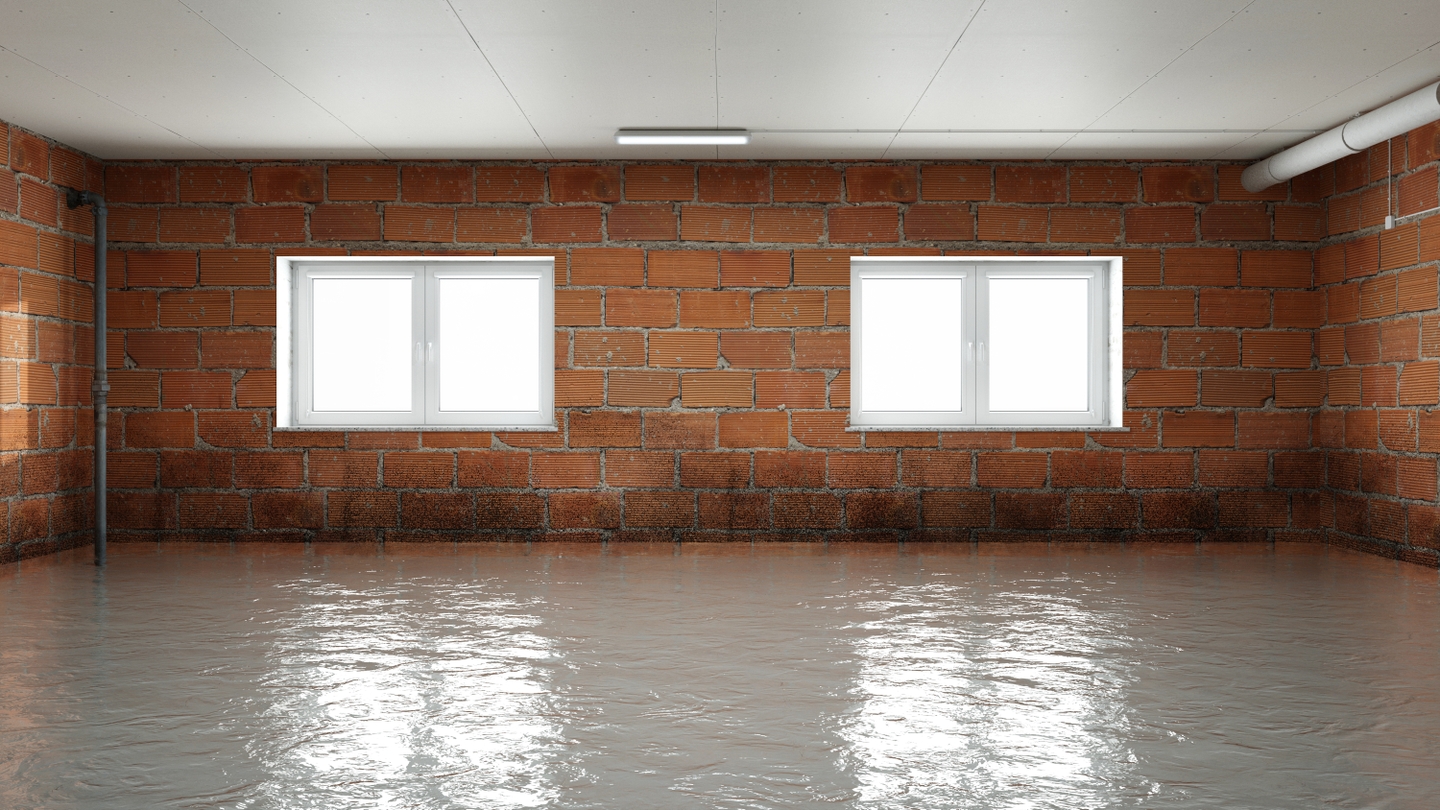 What to Do if Your Basement Floods in Prosper, TX