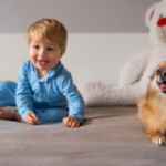 Safeguarding Your Rugs from Kids & Pets