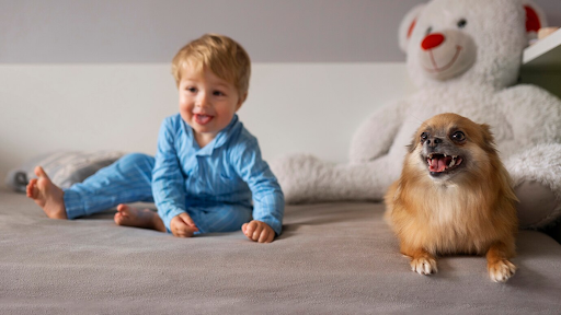 Safeguarding Your Rugs from Kids & Pets