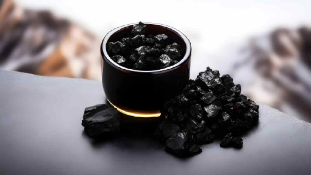 How to Incorporate Shilajit into Your Daily Wellness Routine