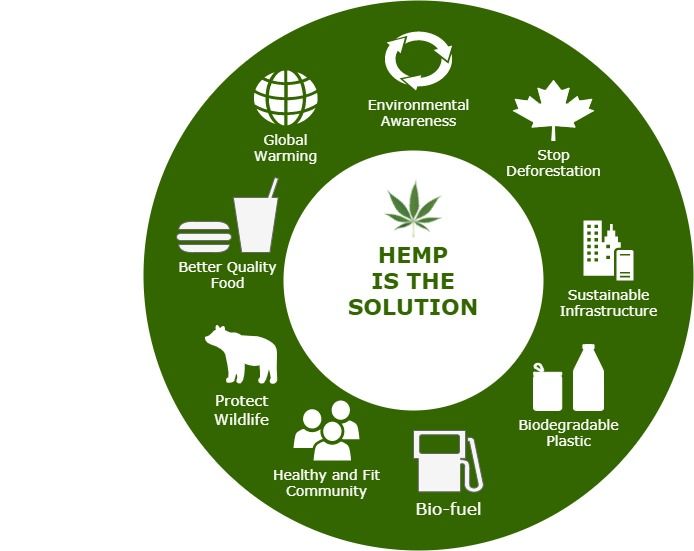 Accepting Sustainability along with Biodegradable Hemp Trays