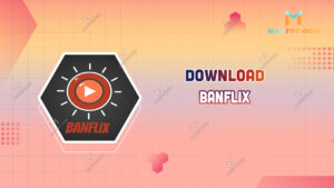 Banflix: The Streaming Revolution You Didn't Know You Needed!