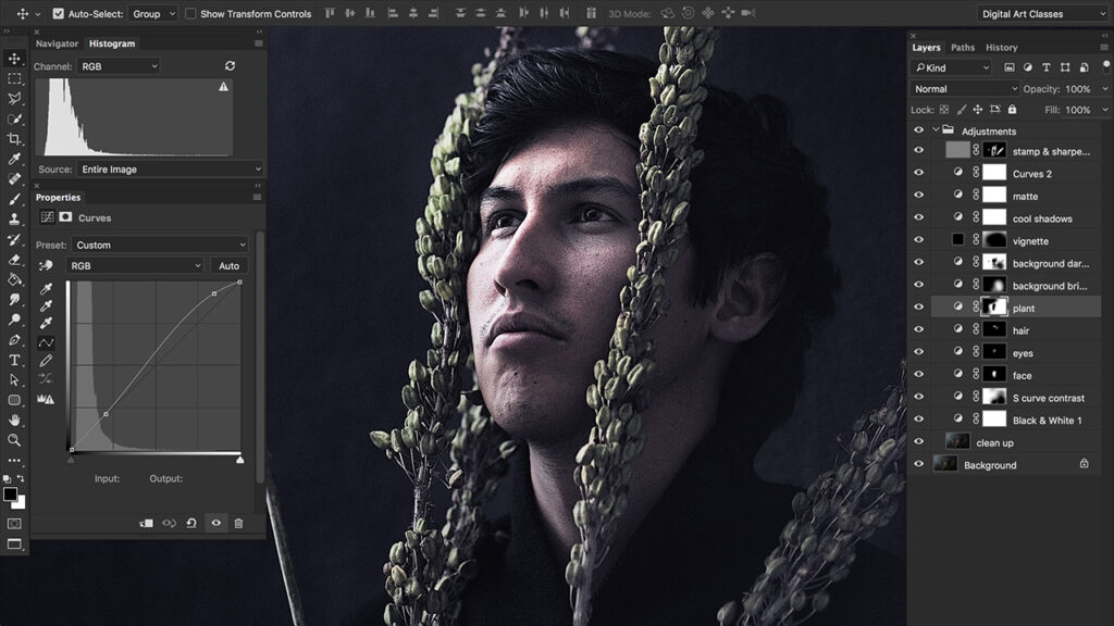 Mastering Professional Photo Editing with Adobe Express
