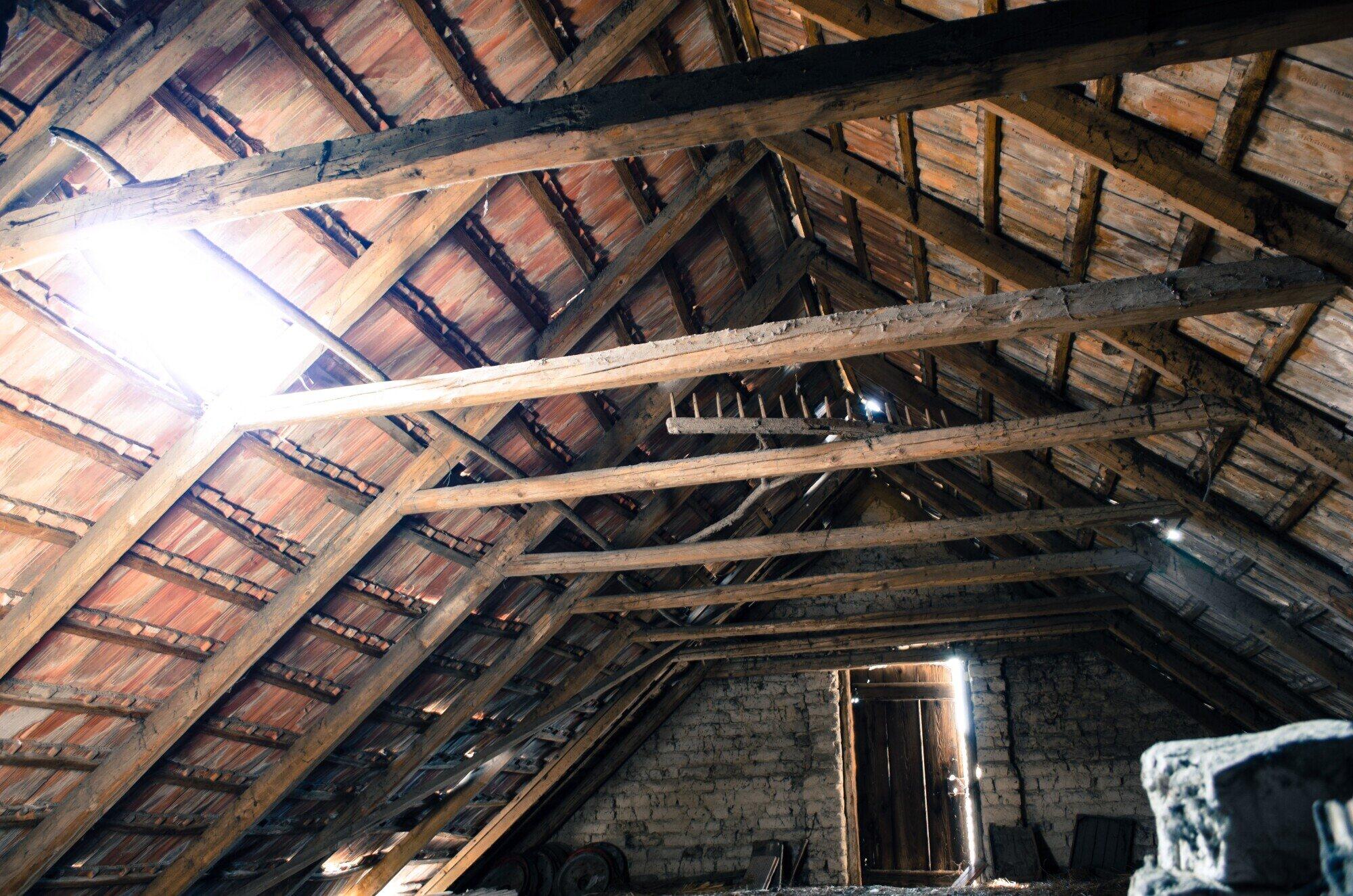 attic mold removal