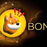 Bonk Airdrop