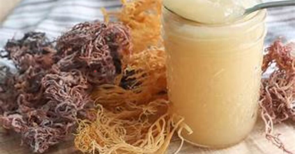 sea moss gel