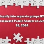 Classify into Separate groups nyt