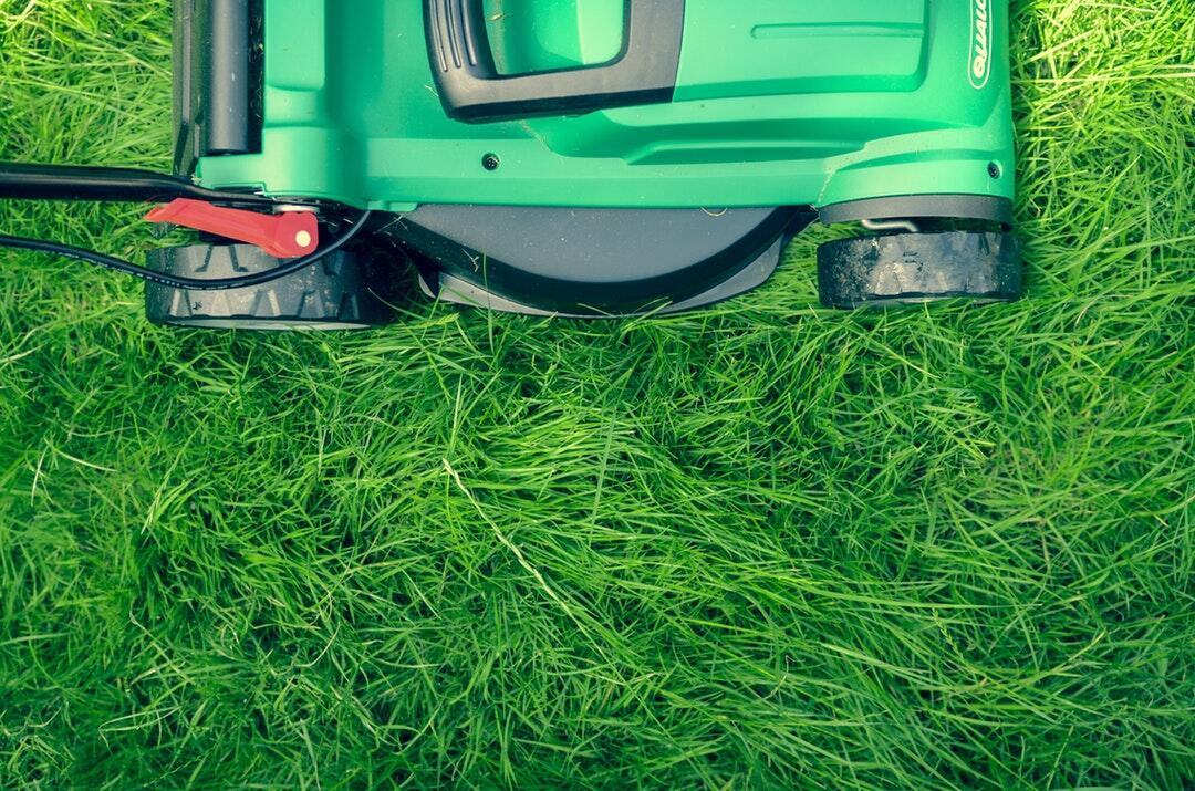 lawn care hacks