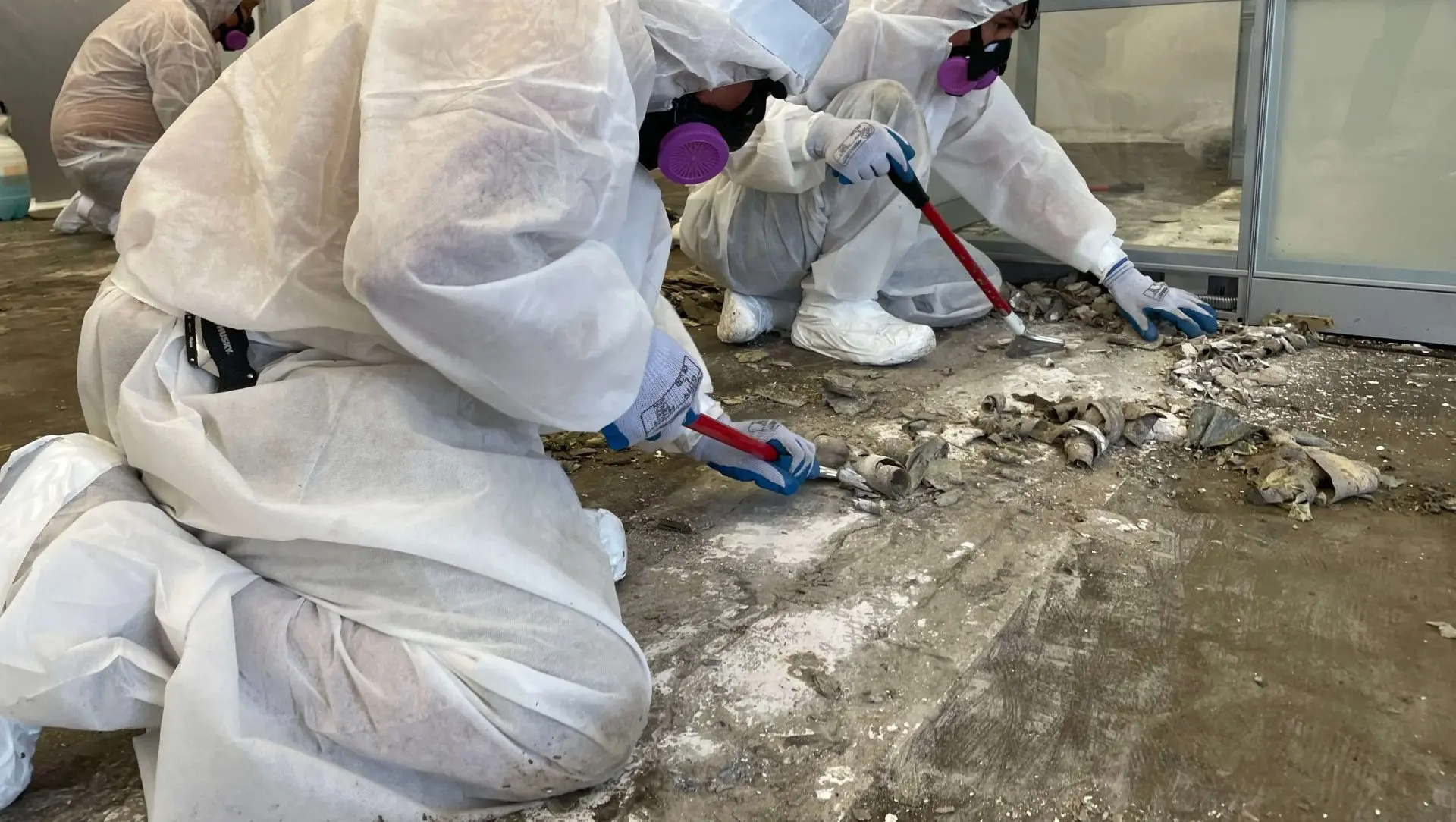 The Importance of Professional Asbestos Removal for Health and Safety