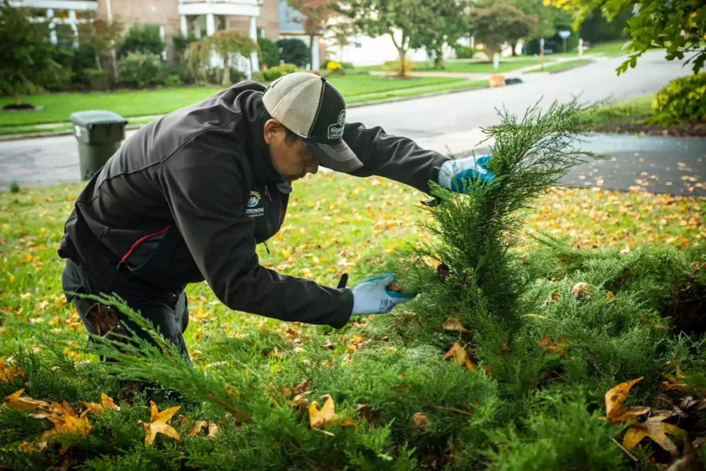 Why Professional Lawn Service Is Key to a Beautiful Landscape