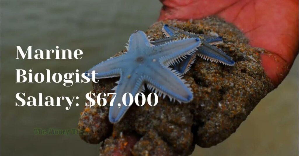 marine biologist salary
