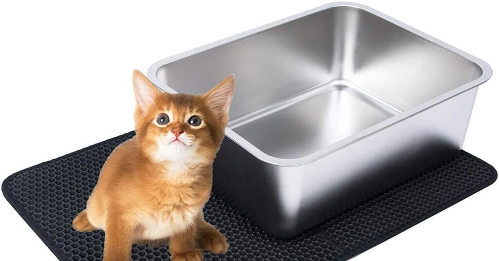 stainless steel litter box