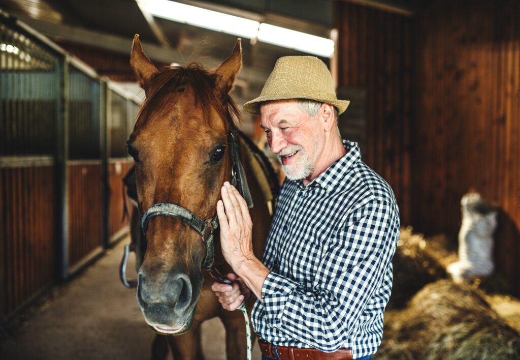 types of horse riding
