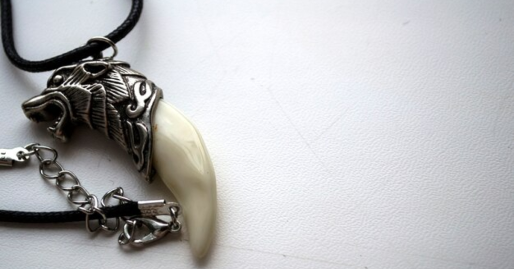 Shark Tooth Necklace