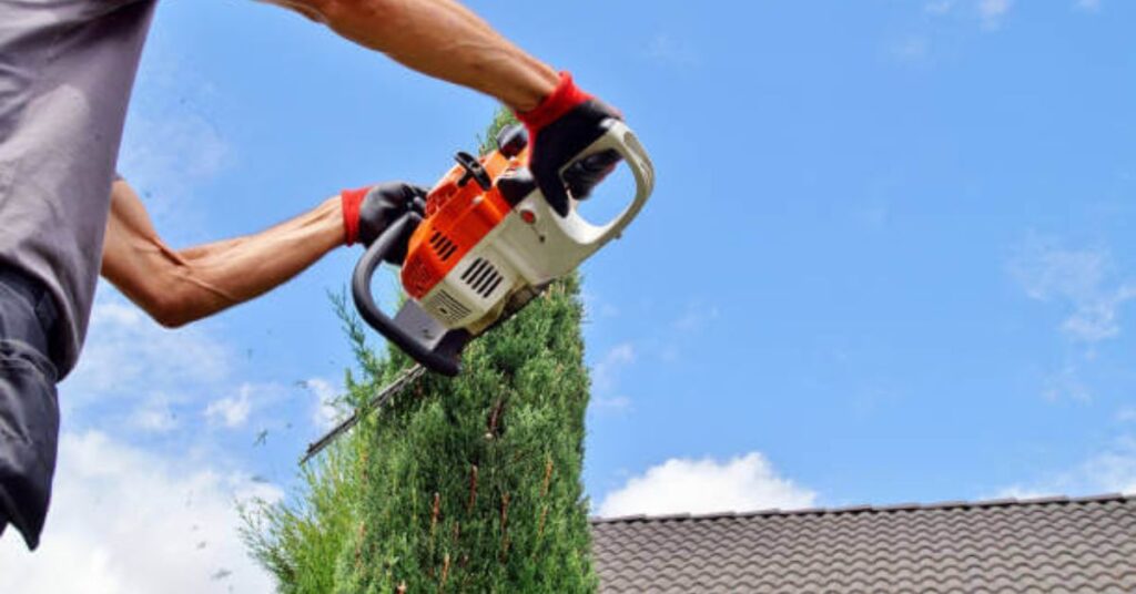 tree trimming near dumfries va 22025 area