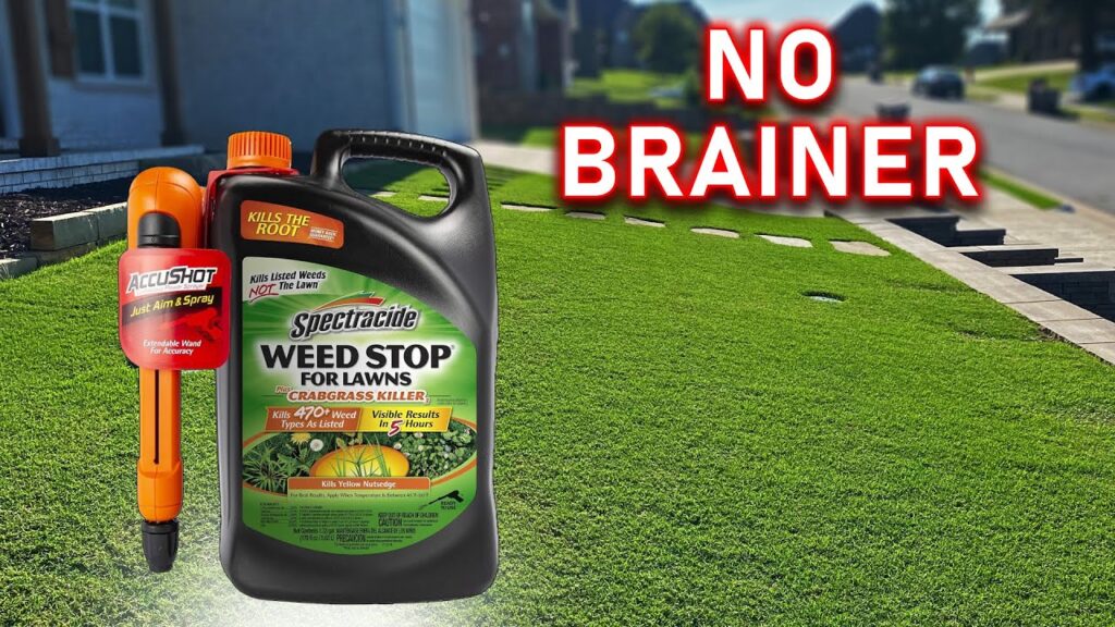 Best Weed Killer