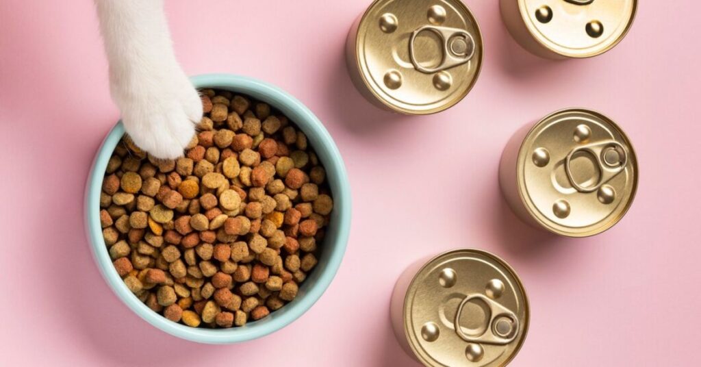 low carbohydrate canned cat food