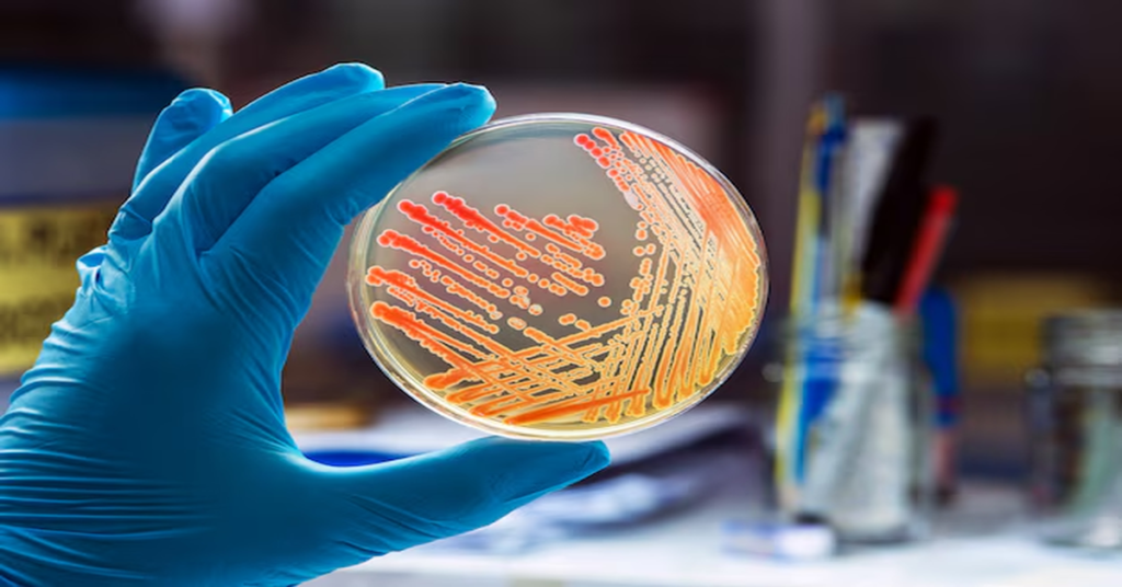 Immatics Biotechnologies