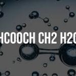 HCOOH + CH₃CH₂OH + H₂O