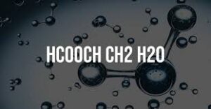 HCOOH + CH₃CH₂OH + H₂O