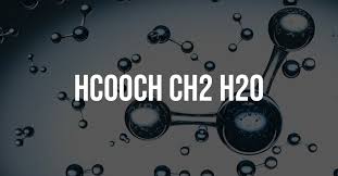 HCOOH + CH₃CH₂OH + H₂O