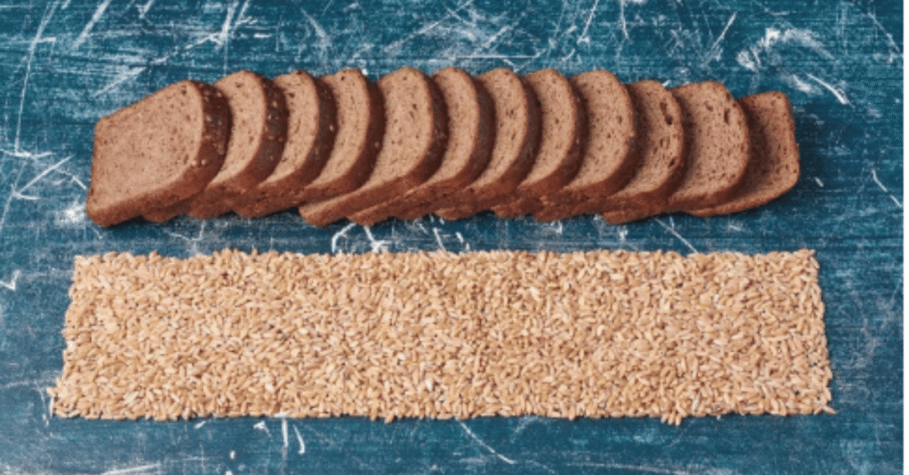wheatberry bread