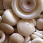 puka shell