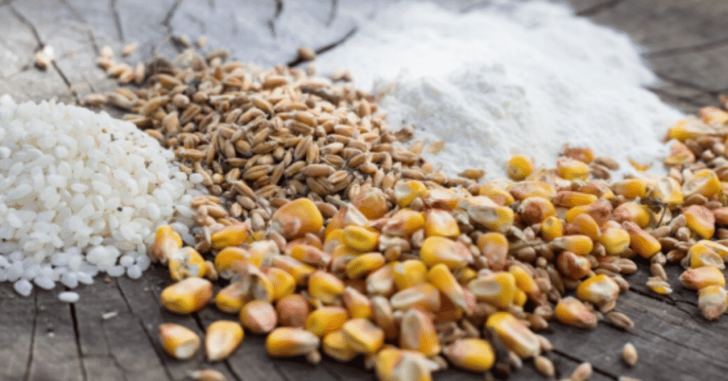 flour maize